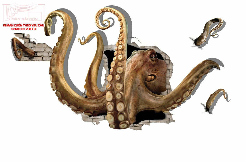 Man cuon in tranh - Màn cuốn in tranh