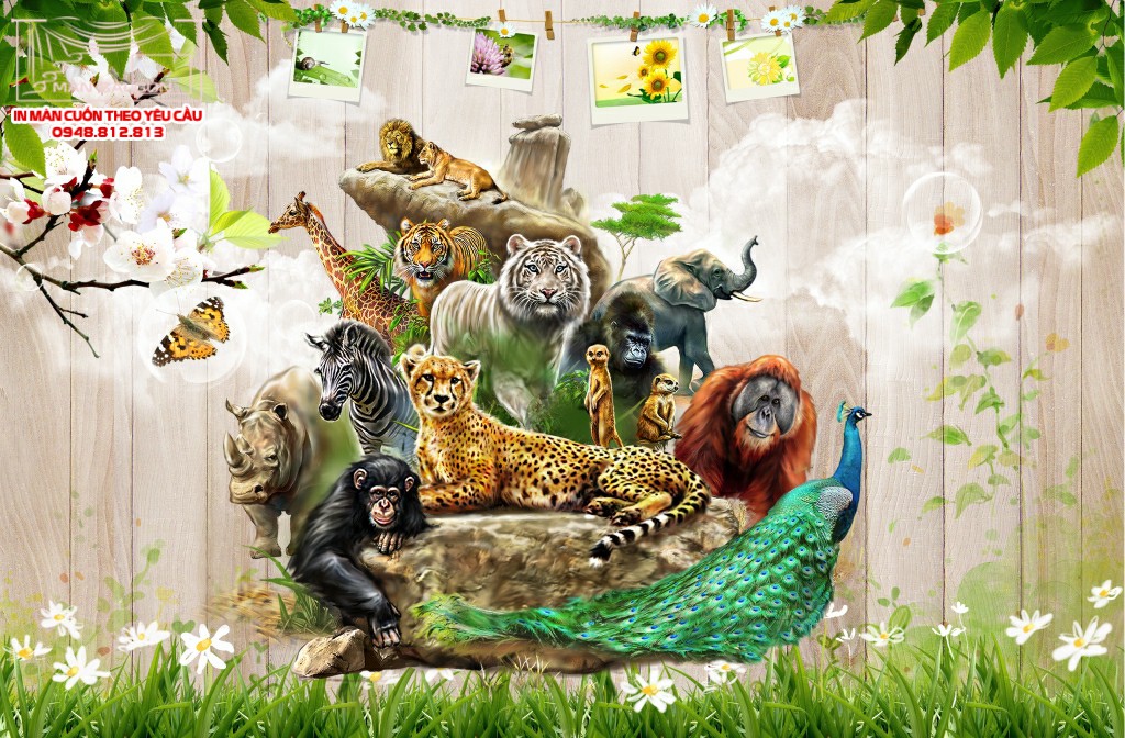 Màn cuốn in tranh em bé 3d