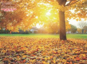 màn cuốn in tranh phong cảnh
