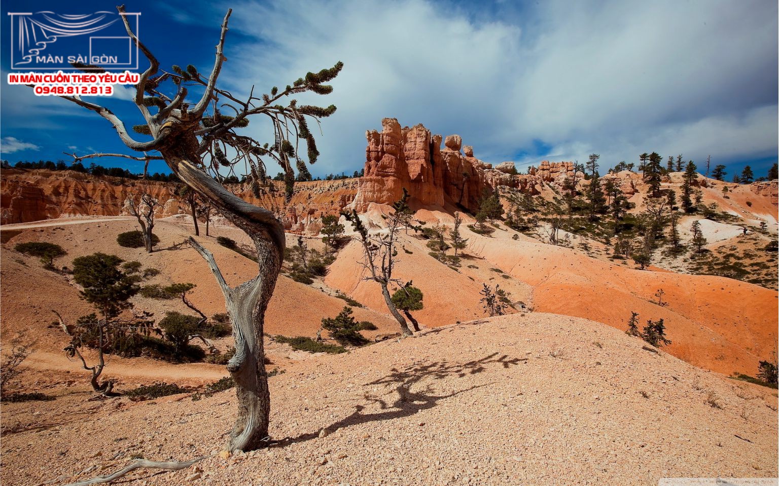 Man cuon in tranh - Màn cuốn in tranh