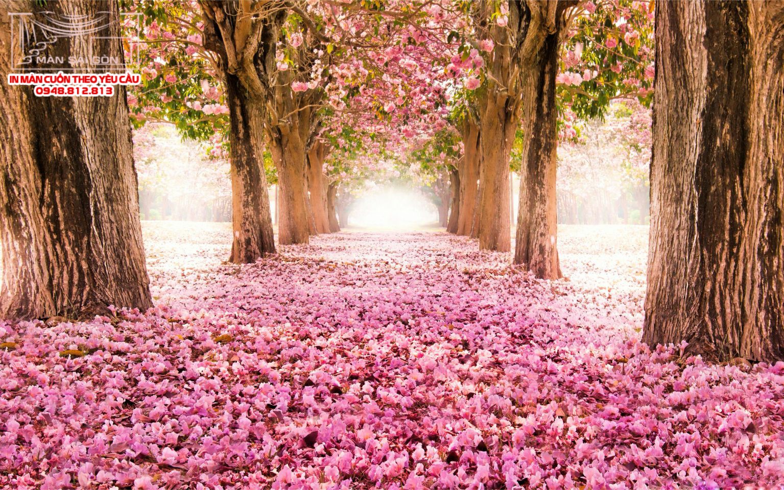 Man cuon in tranh - Màn cuốn in tranh