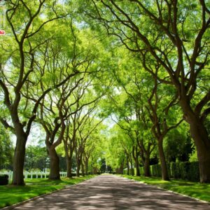 In tranh phong cảnh PC-46