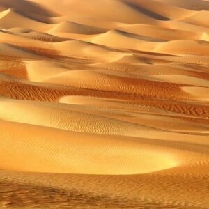 màn cuốn in tranh phong cảnh