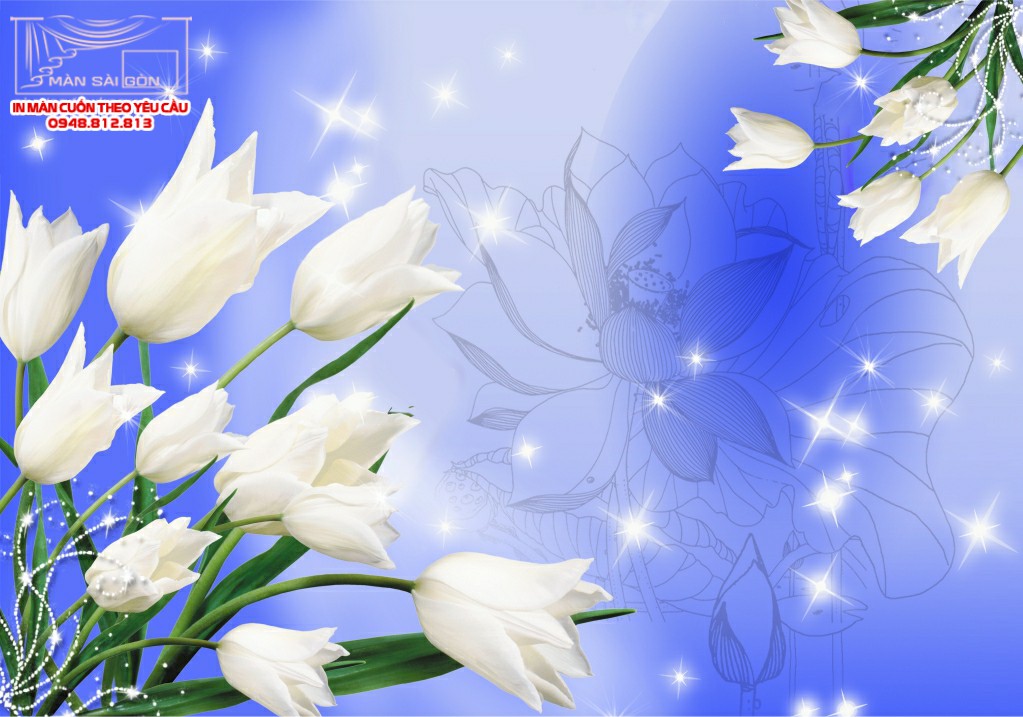 Man cuon in tranh - Màn cuốn in tranh