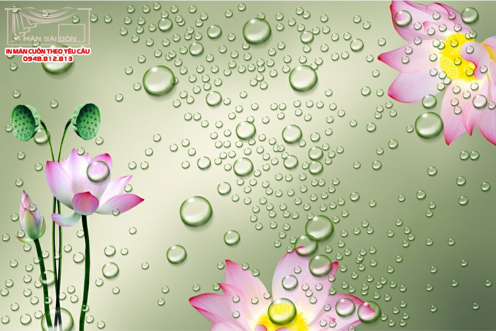 Man cuon in tranh - Màn cuốn in tranh