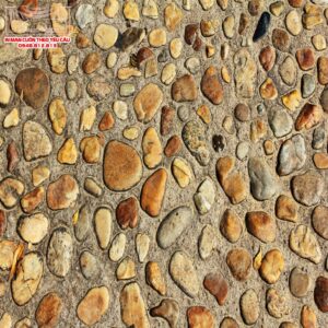 Màn cuốn in tranh 3D T3D-55