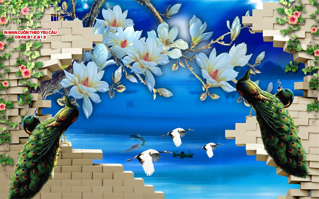 Man cuon in tranh - Màn cuốn in tranh