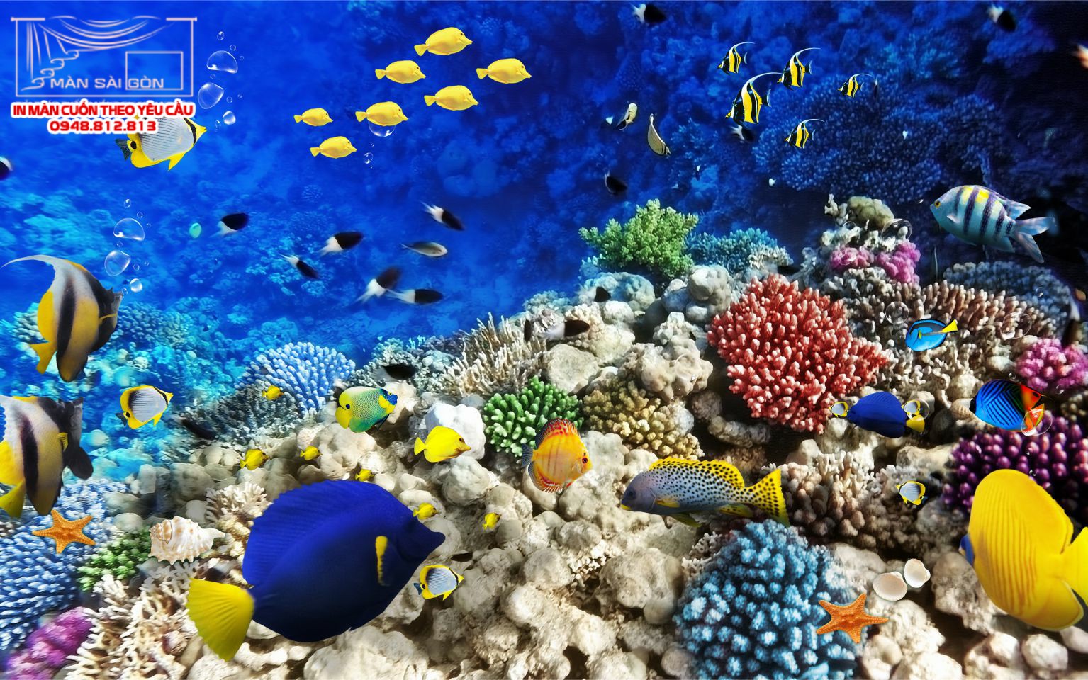 Man cuon in tranh - Màn cuốn in tranh