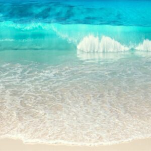 màn cuốn in tranh cảnh biển