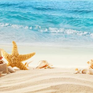 màn cuốn in tranh cảnh biển