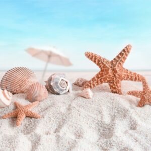 màn cuốn in tranh công giáo