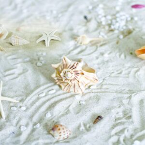 Màn cuốn in tranh BIEN-63