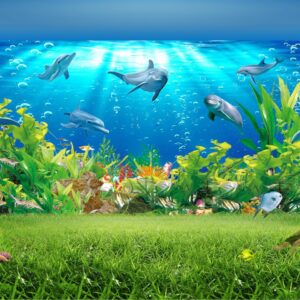 Màn cuốn in tranh BIEN-67