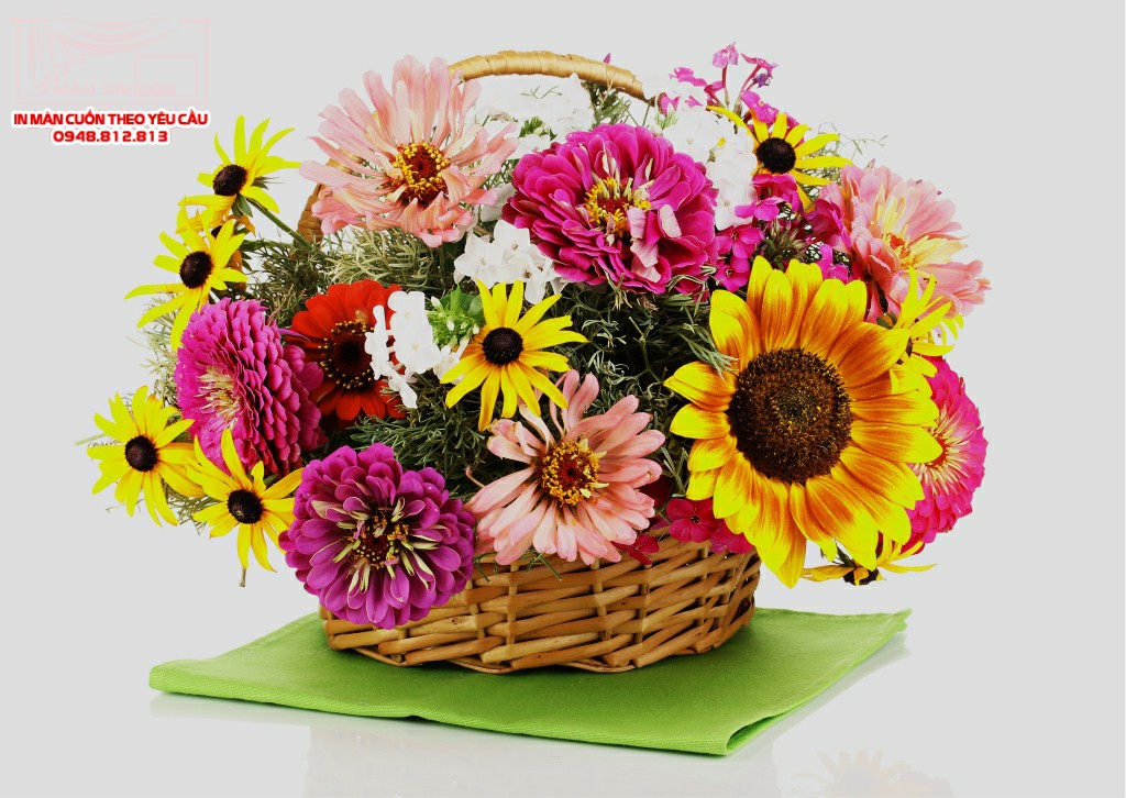 Man cuon in tranh - Màn cuốn in tranh