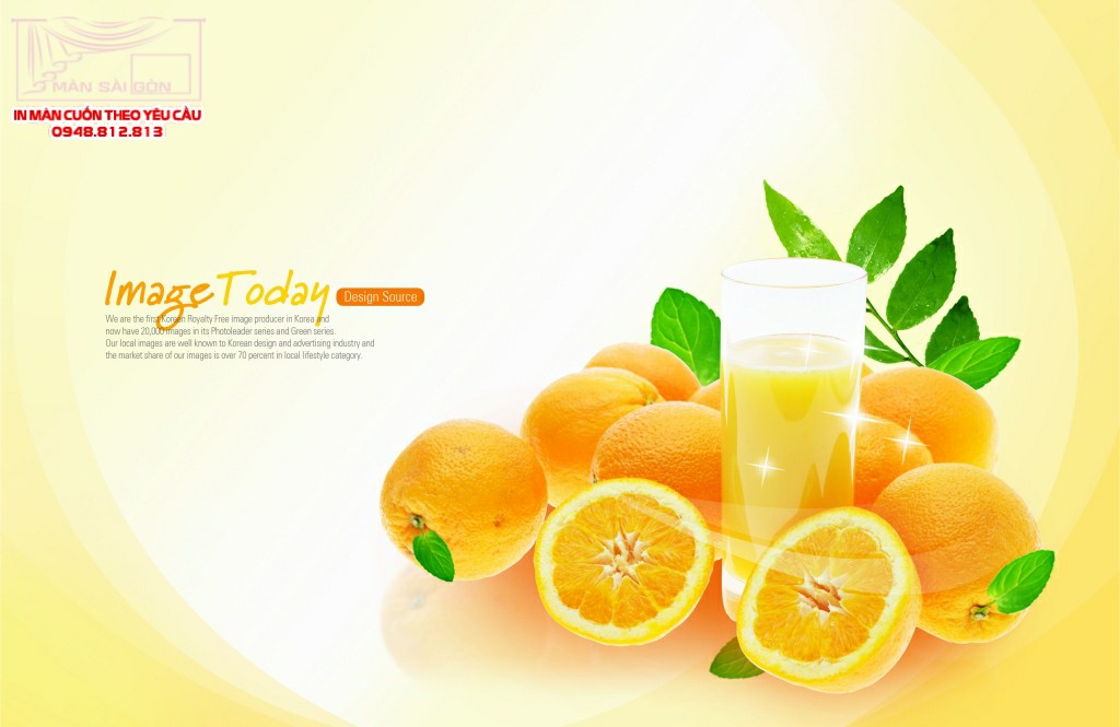 man-cuon-in-tranh-hoa-qua-big_28 man cuon in tranh hoa qua big 28