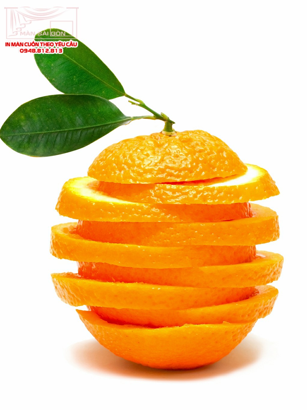 Man cuon in tranh - Màn cuốn in tranh