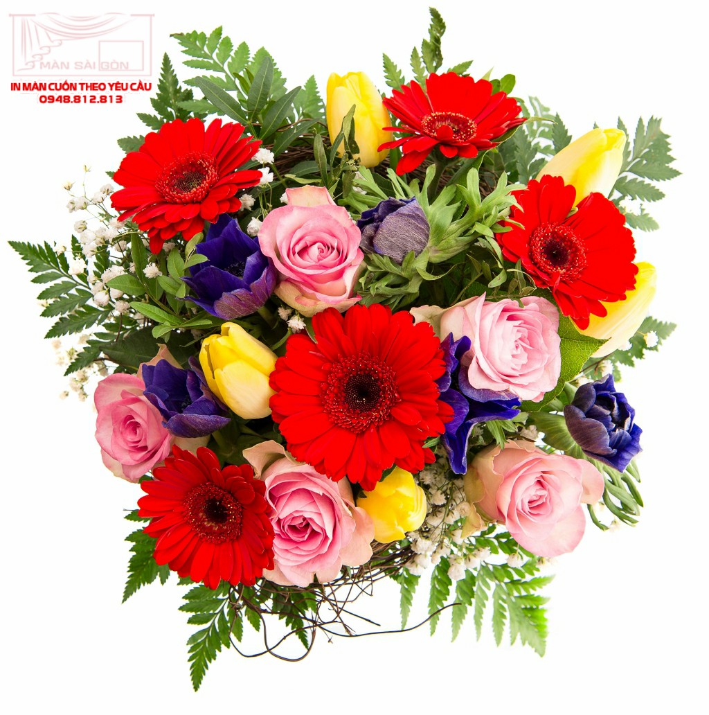 Man cuon in tranh - Màn cuốn in tranh