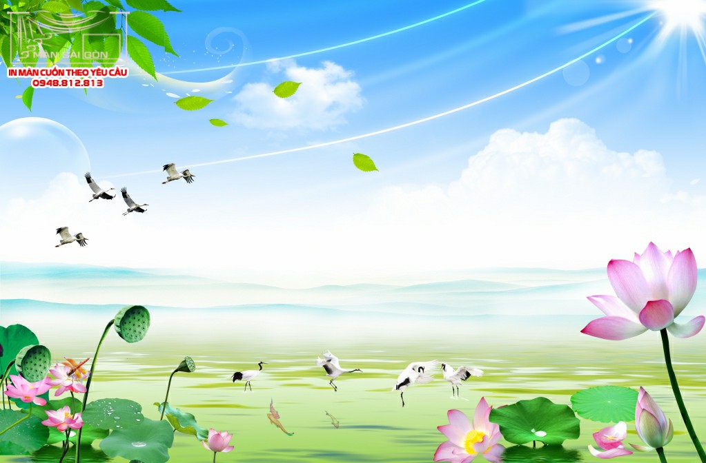 Man cuon in tranh - Màn cuốn in tranh