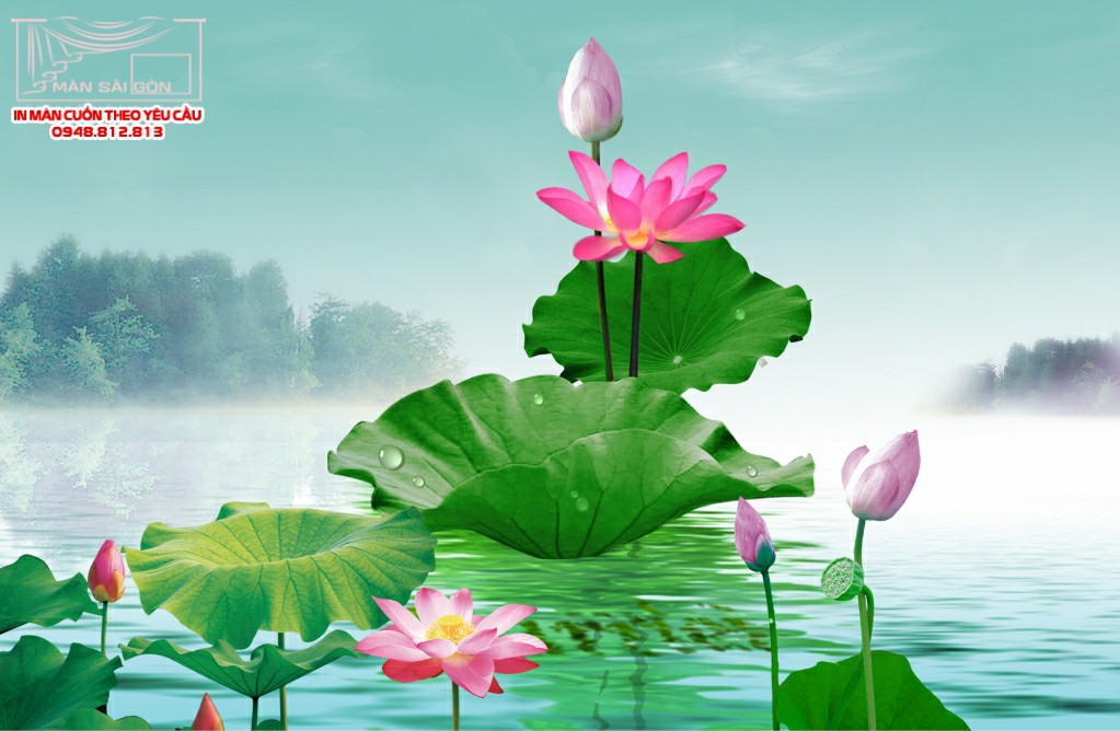 Man cuon in tranh - Màn cuốn in tranh