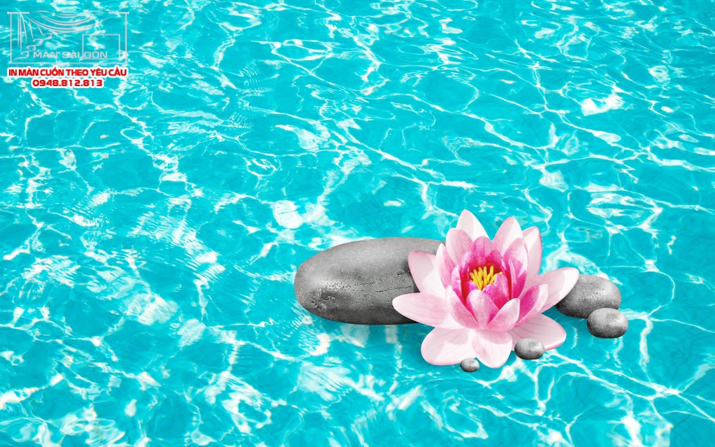 Man cuon in tranh - Màn cuốn in tranh