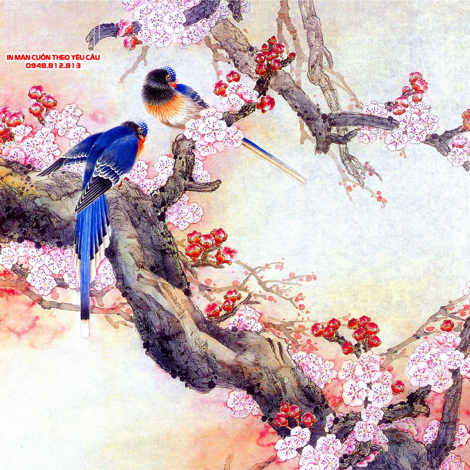 Man cuon in tranh - Màn cuốn in tranh