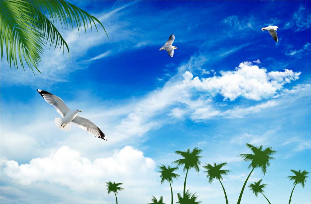 Man cuon in tranh - Màn cuốn in tranh