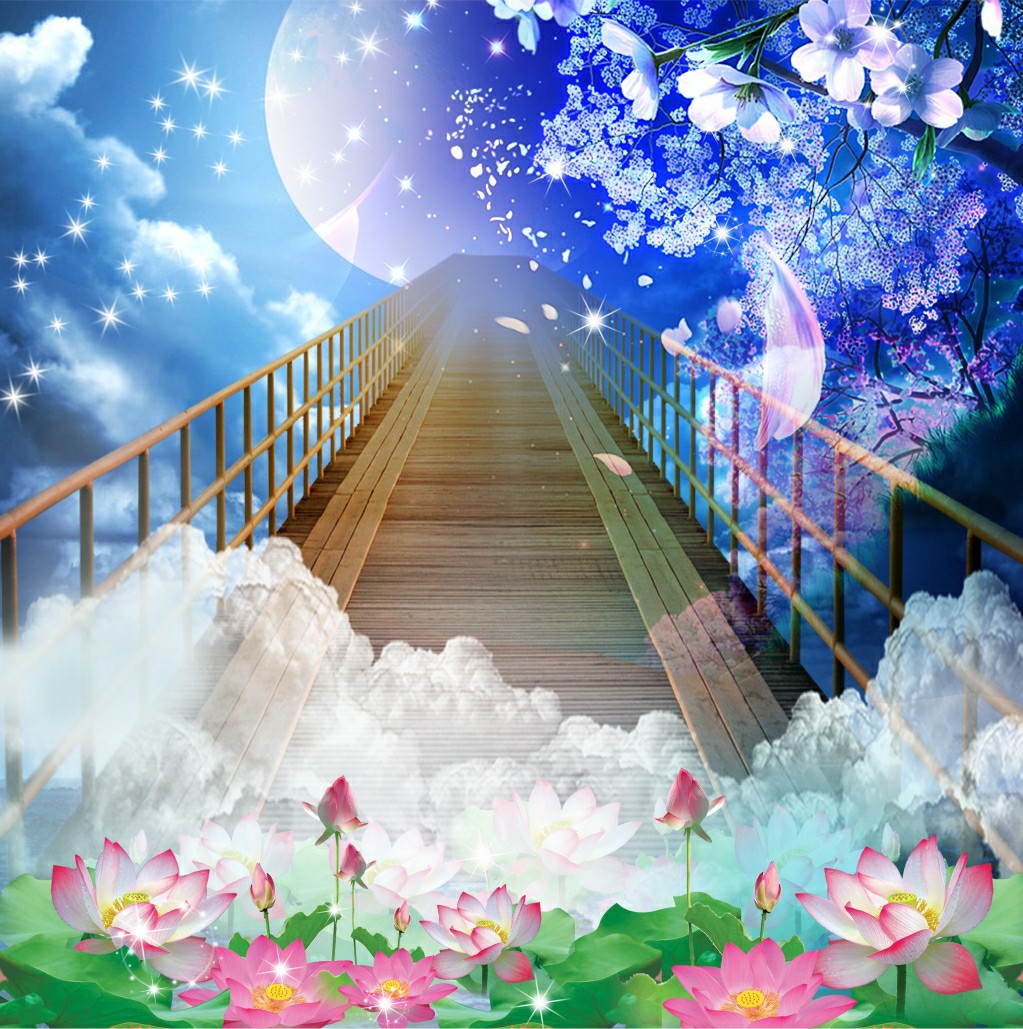 Man cuon in tranh - Màn cuốn in tranh