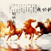 màn cuốn in tranh ngựa