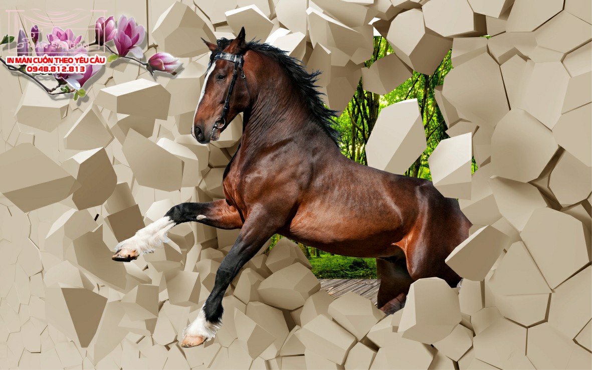 Man cuon in tranh - Màn cuốn in tranh